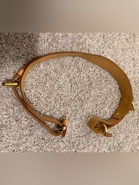 Louis Vuitton multi color bucket bag strap A61